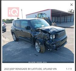 جيب رينيجيد